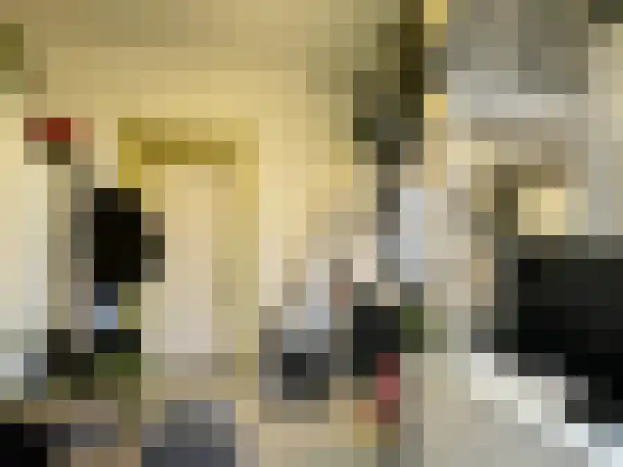 Eusebiusbuitensingel 33 Arnhem thumbnail 4