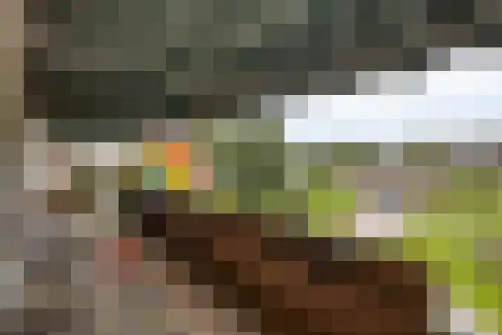 Eusebiusbuitensingel 40 1 Arnhem thumbnail 19