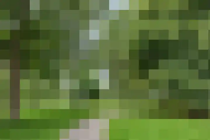 Eusebiusbuitensingel 40 1 Arnhem thumbnail 42