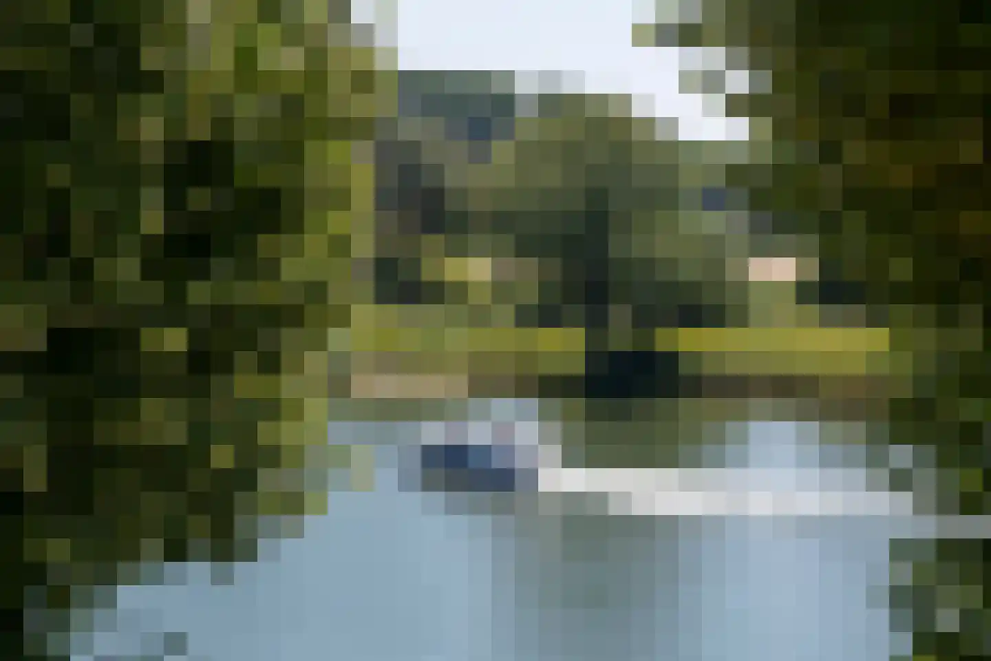 Eusebiusplein 16 Arnhem thumbnail 20