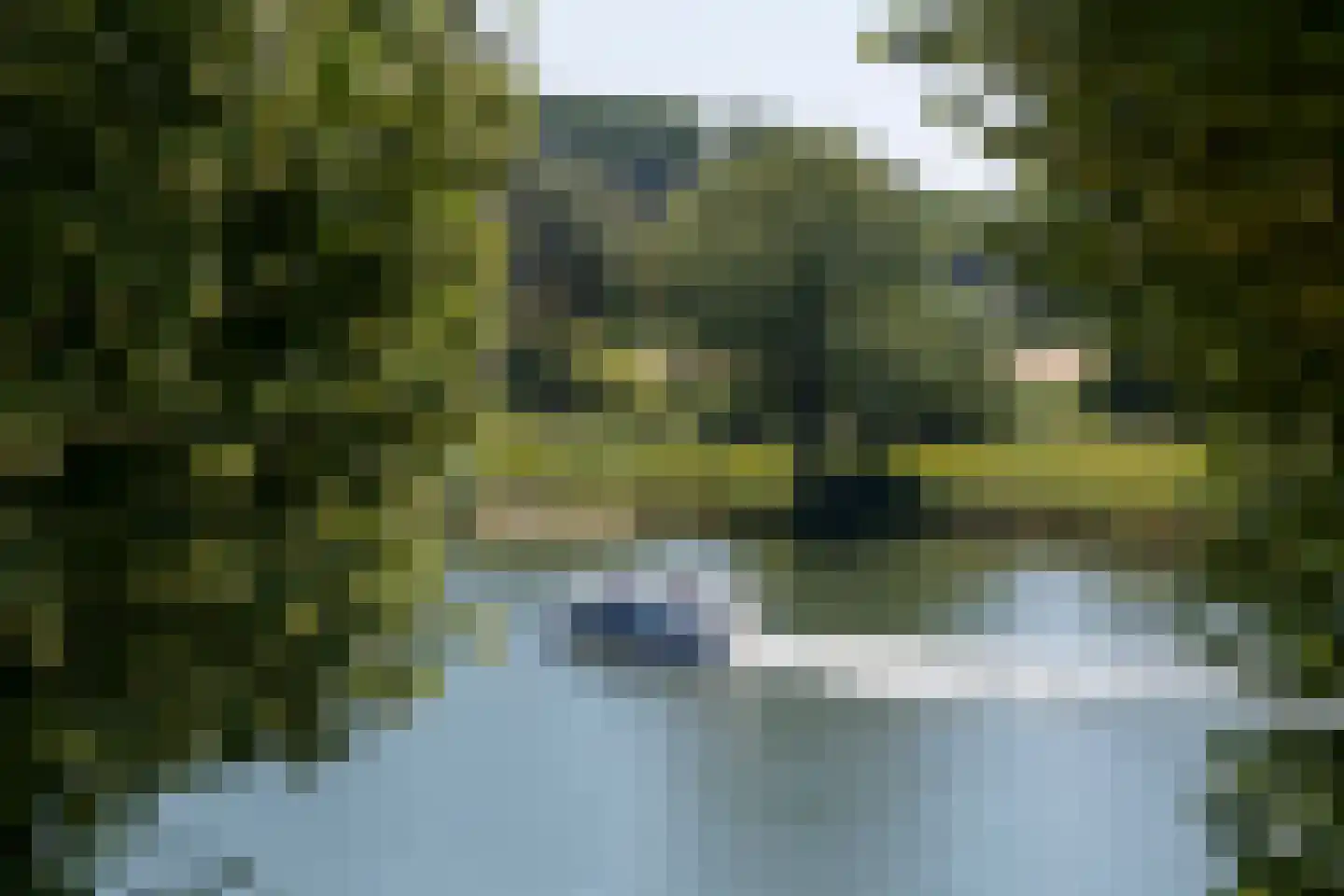 Eusebiusplein 16 Arnhem thumbnail 24