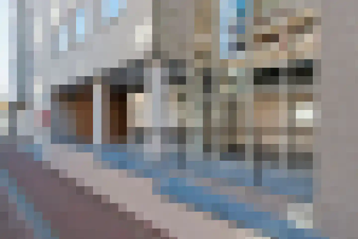 Eusebiusplein 16 Arnhem thumbnail 48