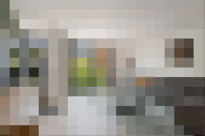 Eusebiusplein 41 Arnhem thumbnail 13