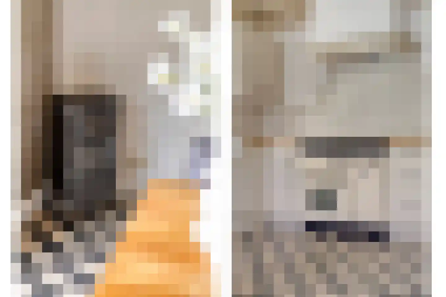Eusselingstraat 1 Macharen thumbnail 10