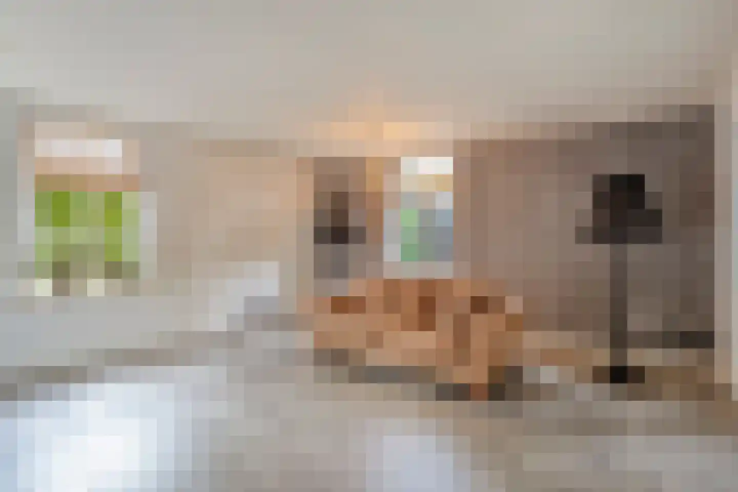 Eusselingstraat 1 Macharen thumbnail 11