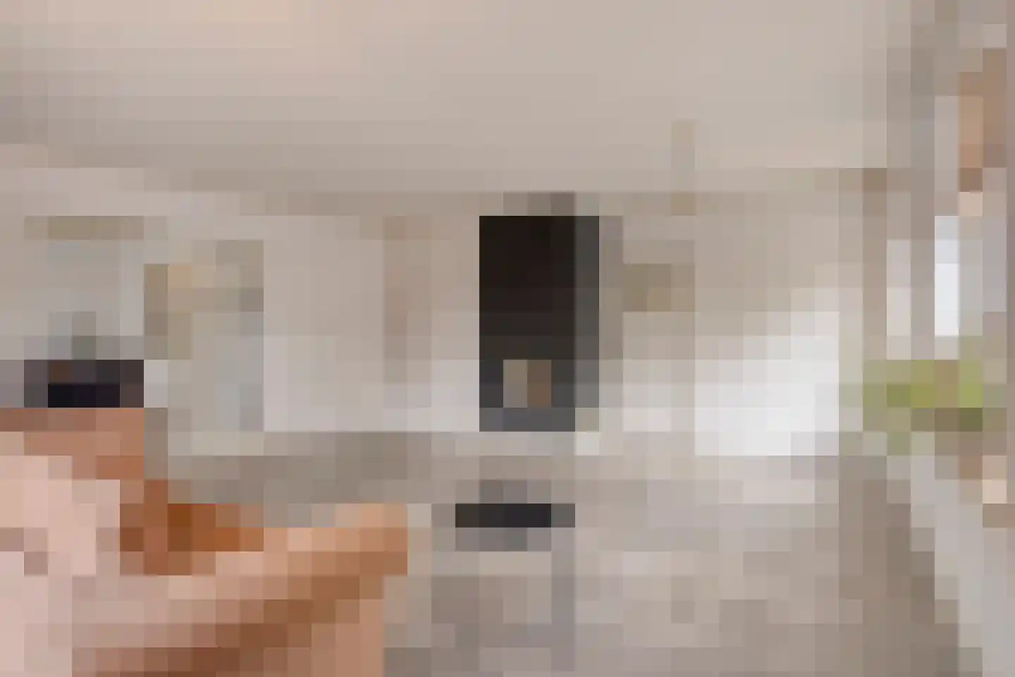 Eusselingstraat 1 Macharen thumbnail 12