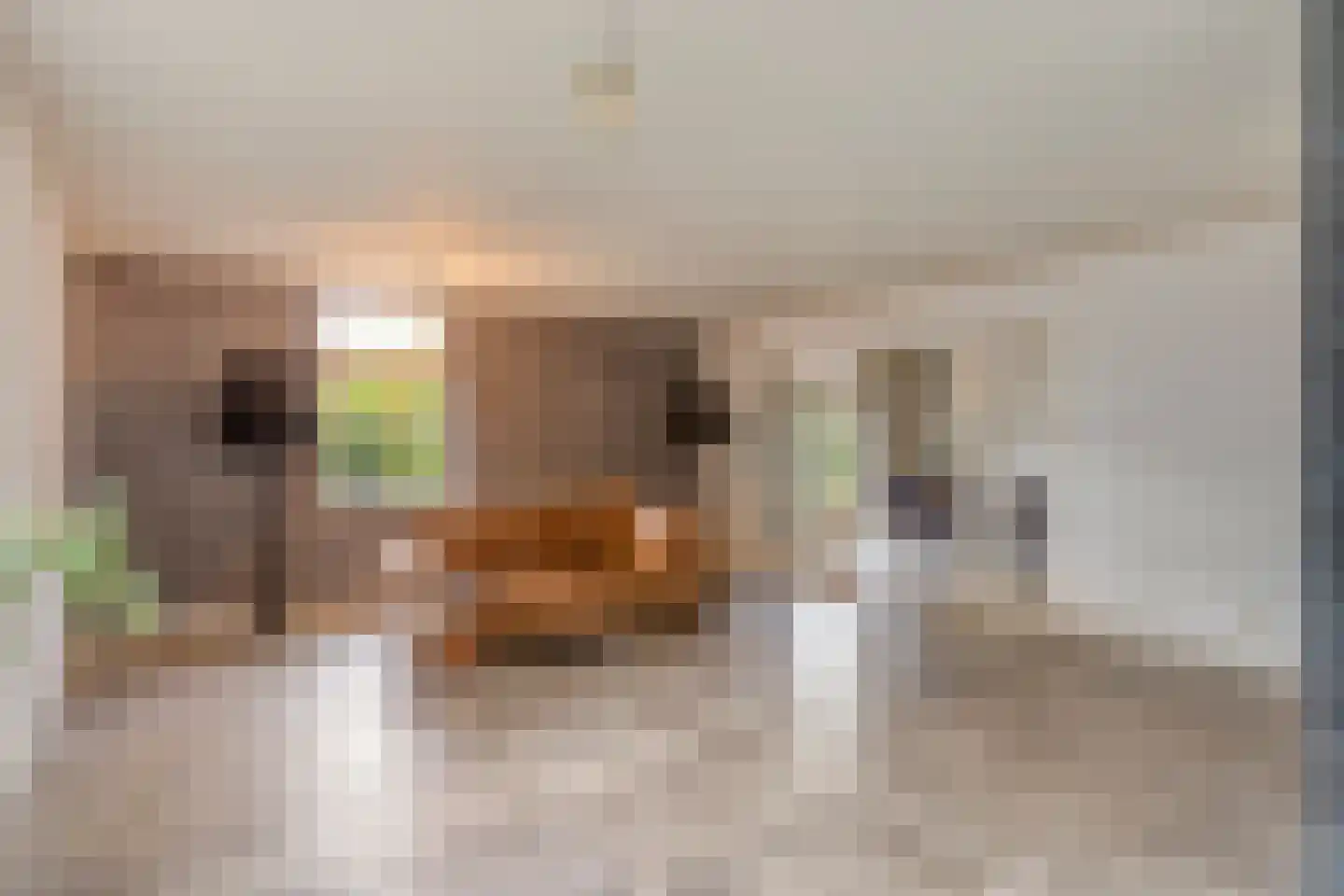 Eusselingstraat 1 Macharen thumbnail 13