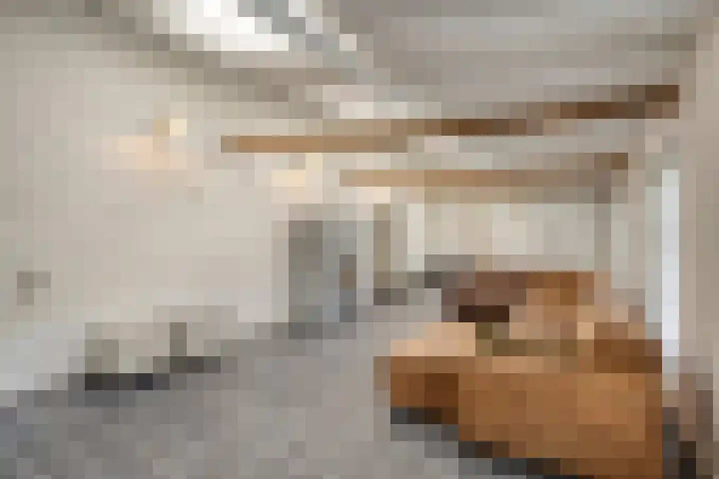 Eusselingstraat 1 Macharen thumbnail 21