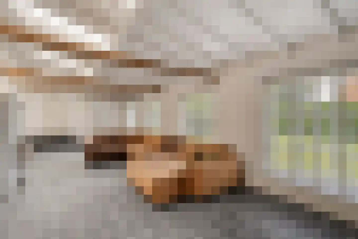 Eusselingstraat 1 Macharen thumbnail 22