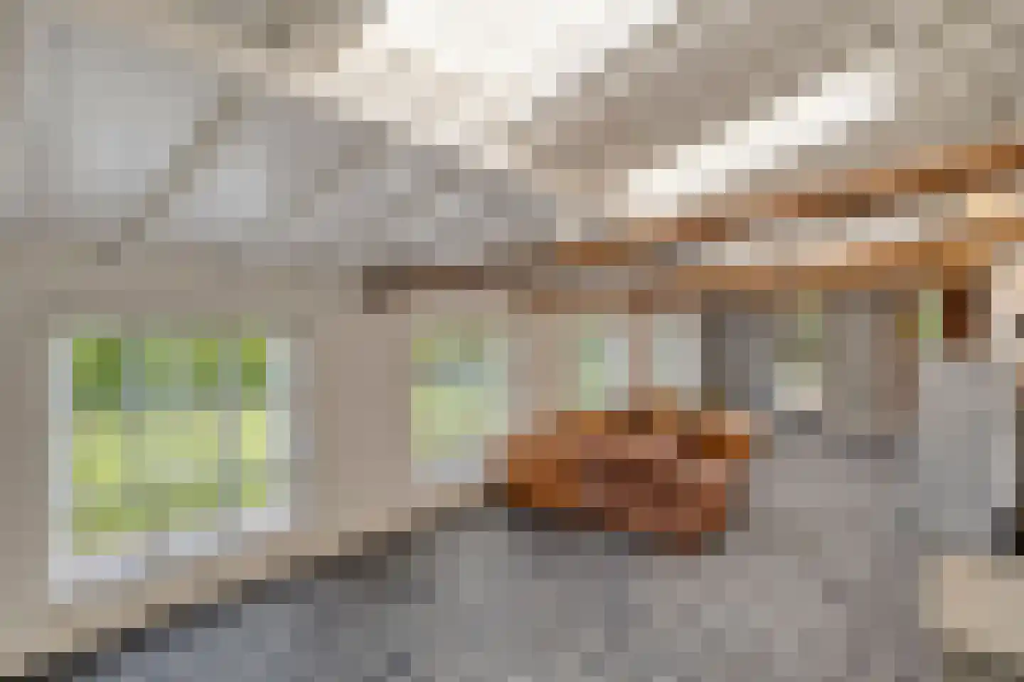 Eusselingstraat 1 Macharen thumbnail 23