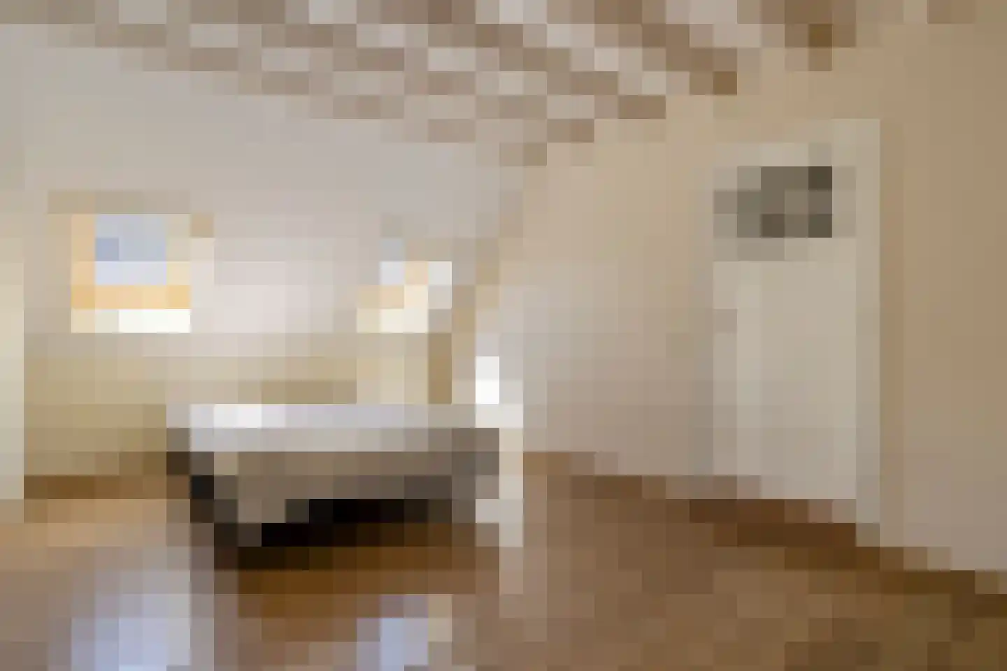 Eusselingstraat 1 Macharen thumbnail 25