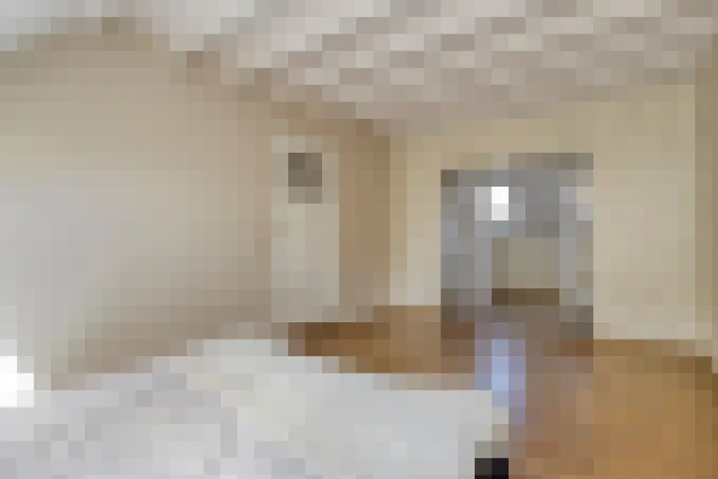 Eusselingstraat 1 Macharen thumbnail 26