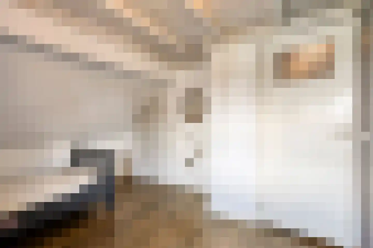 Eusselingstraat 1 Macharen thumbnail 33