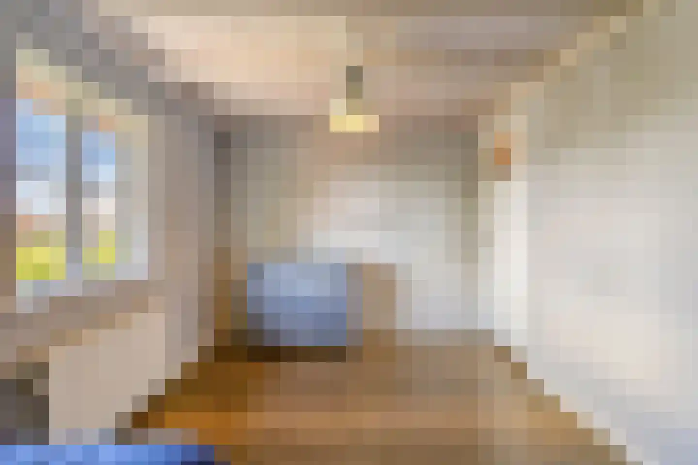 Eusselingstraat 1 Macharen thumbnail 35