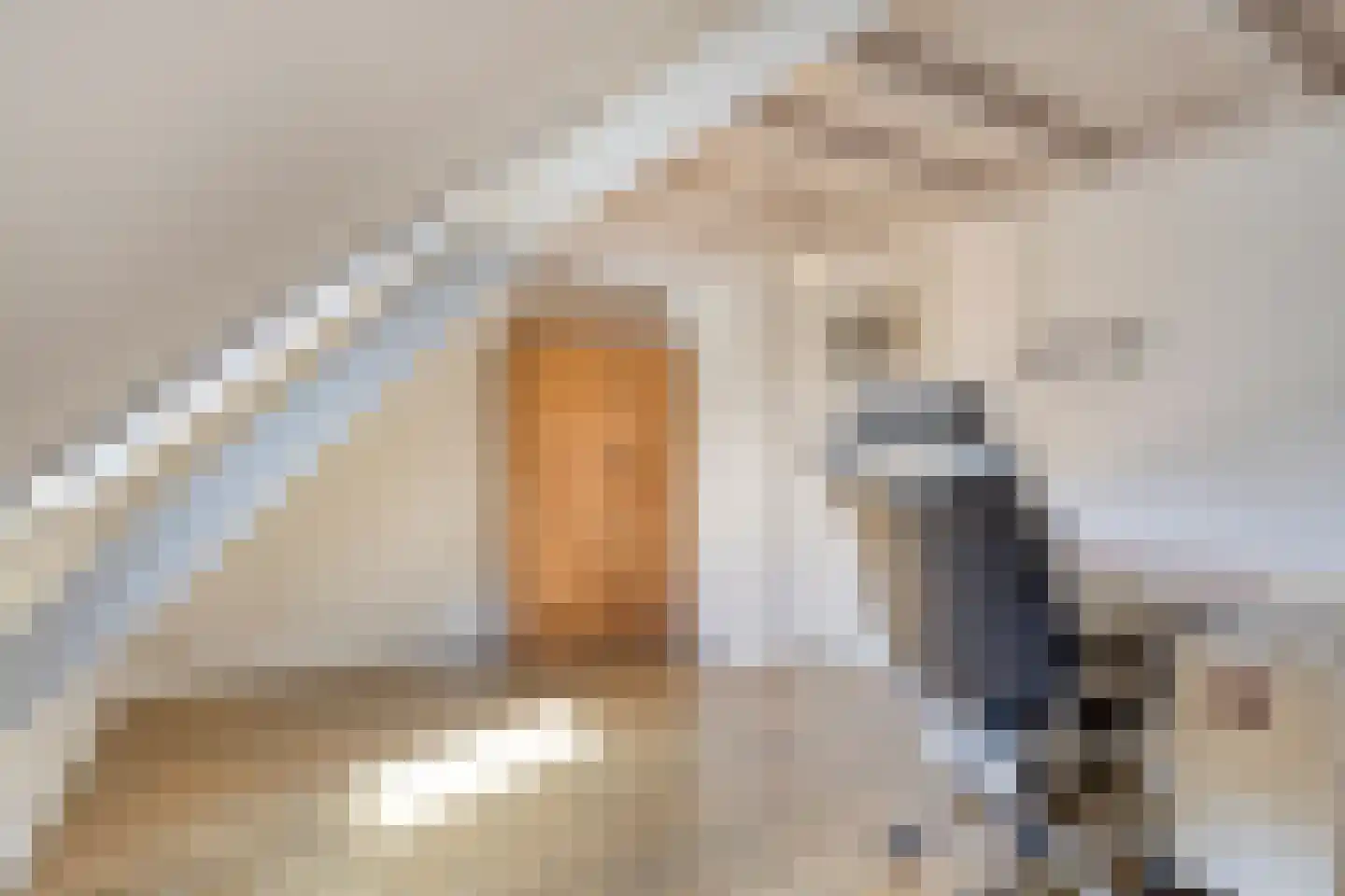 Eusselingstraat 1 Macharen thumbnail 37