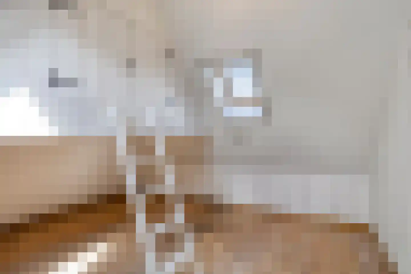 Eusselingstraat 1 Macharen thumbnail 39