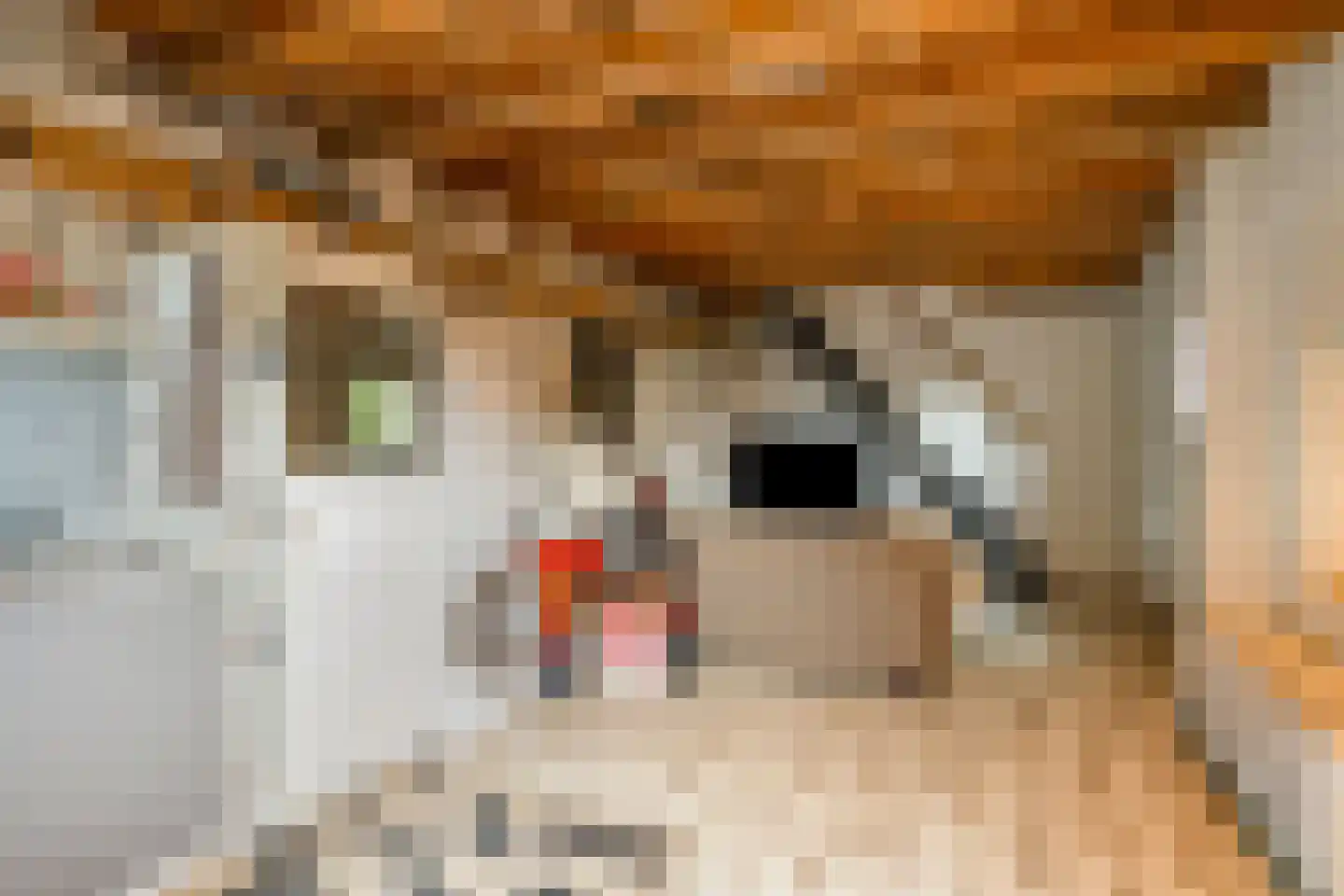 Eusselingstraat 1 Macharen thumbnail 43