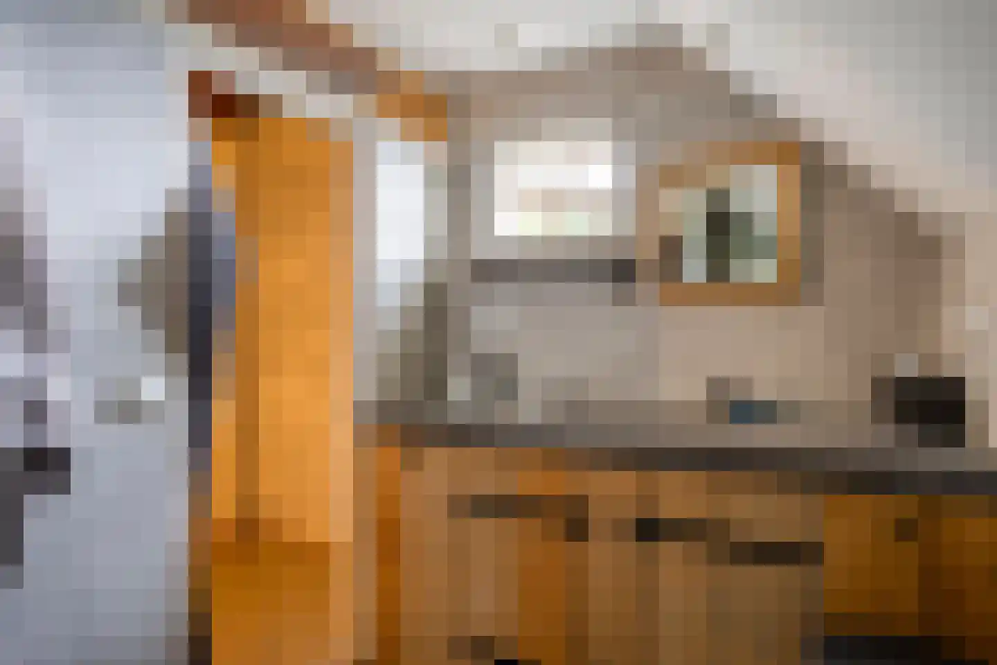 Eusselingstraat 1 Macharen thumbnail 49