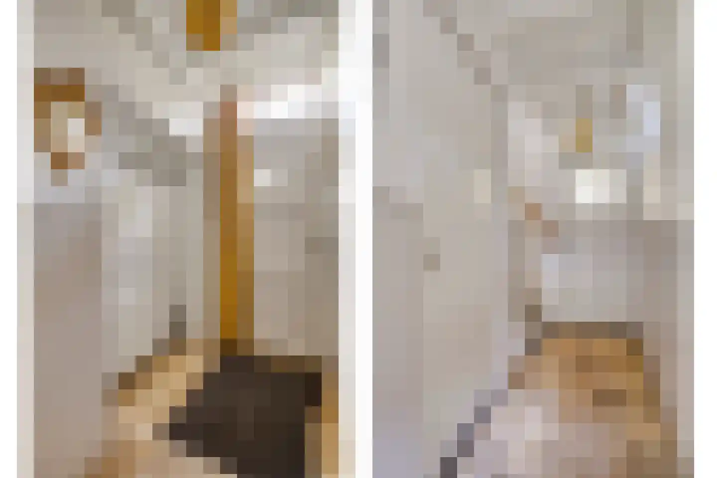Eusselingstraat 1 Macharen thumbnail 5