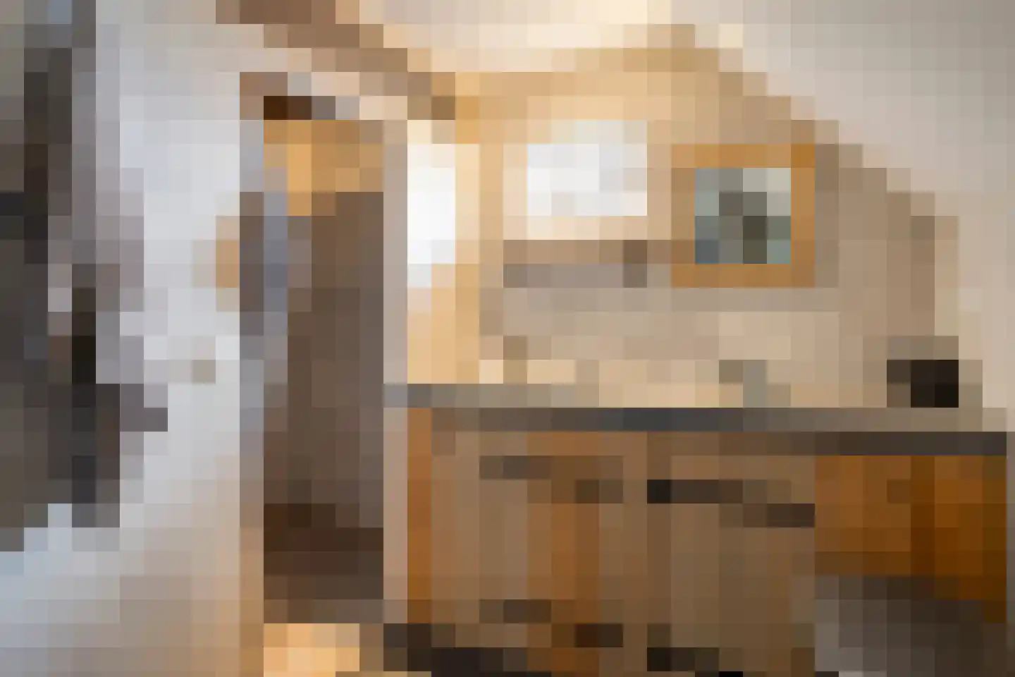 Eusselingstraat 1 Macharen thumbnail 51