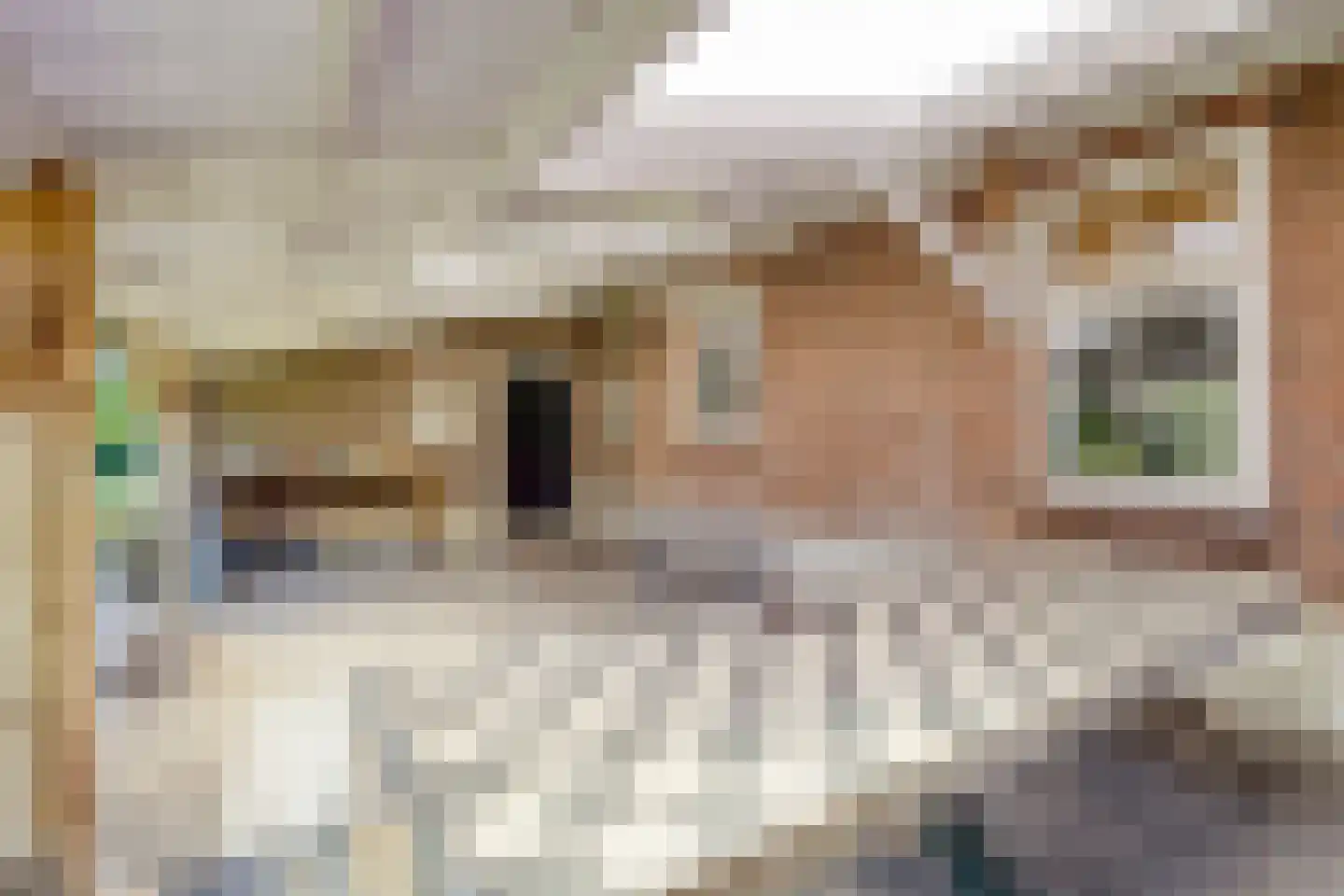 Eusselingstraat 1 Macharen thumbnail 53