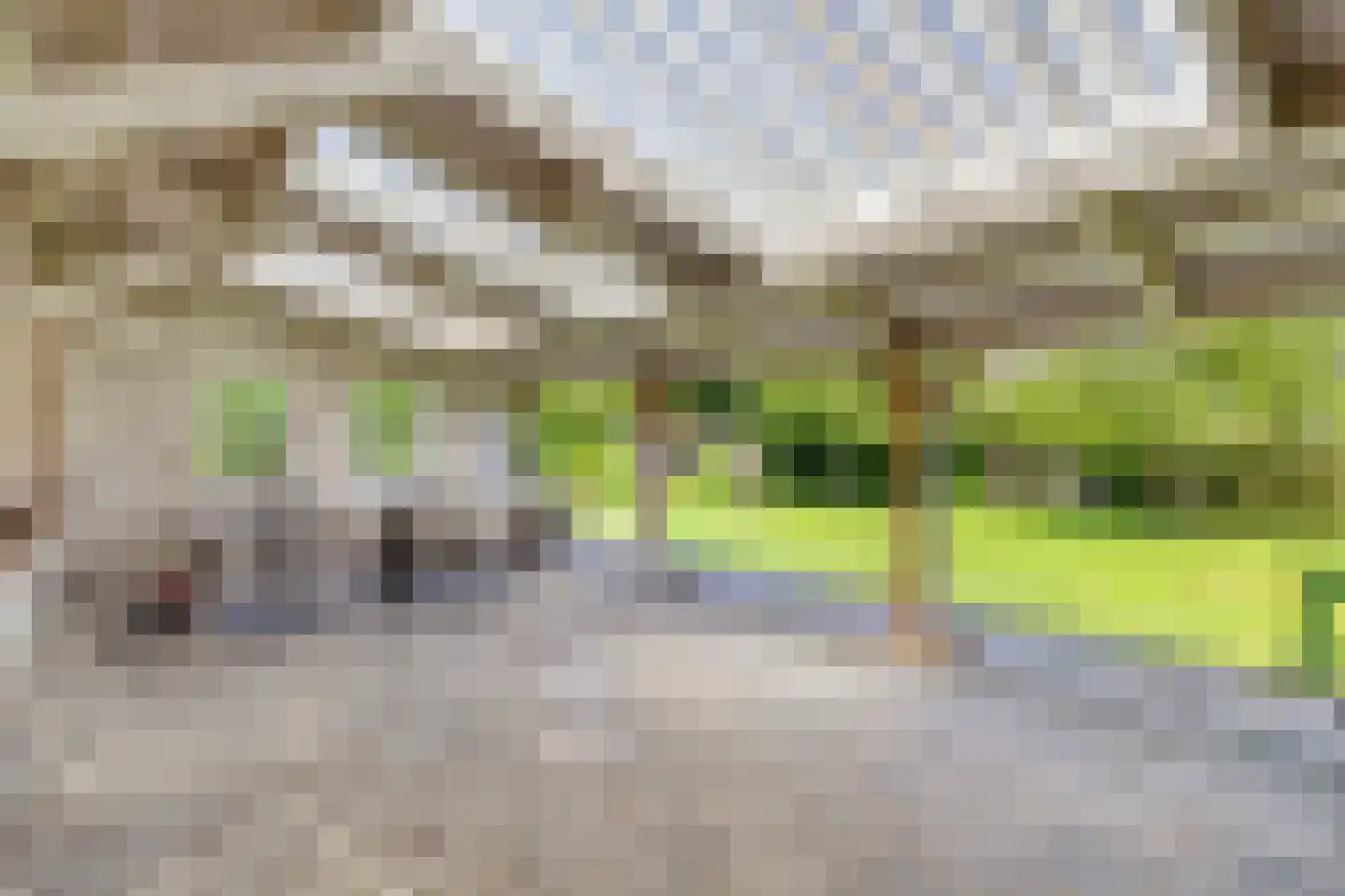 Eusselingstraat 1 Macharen thumbnail 54