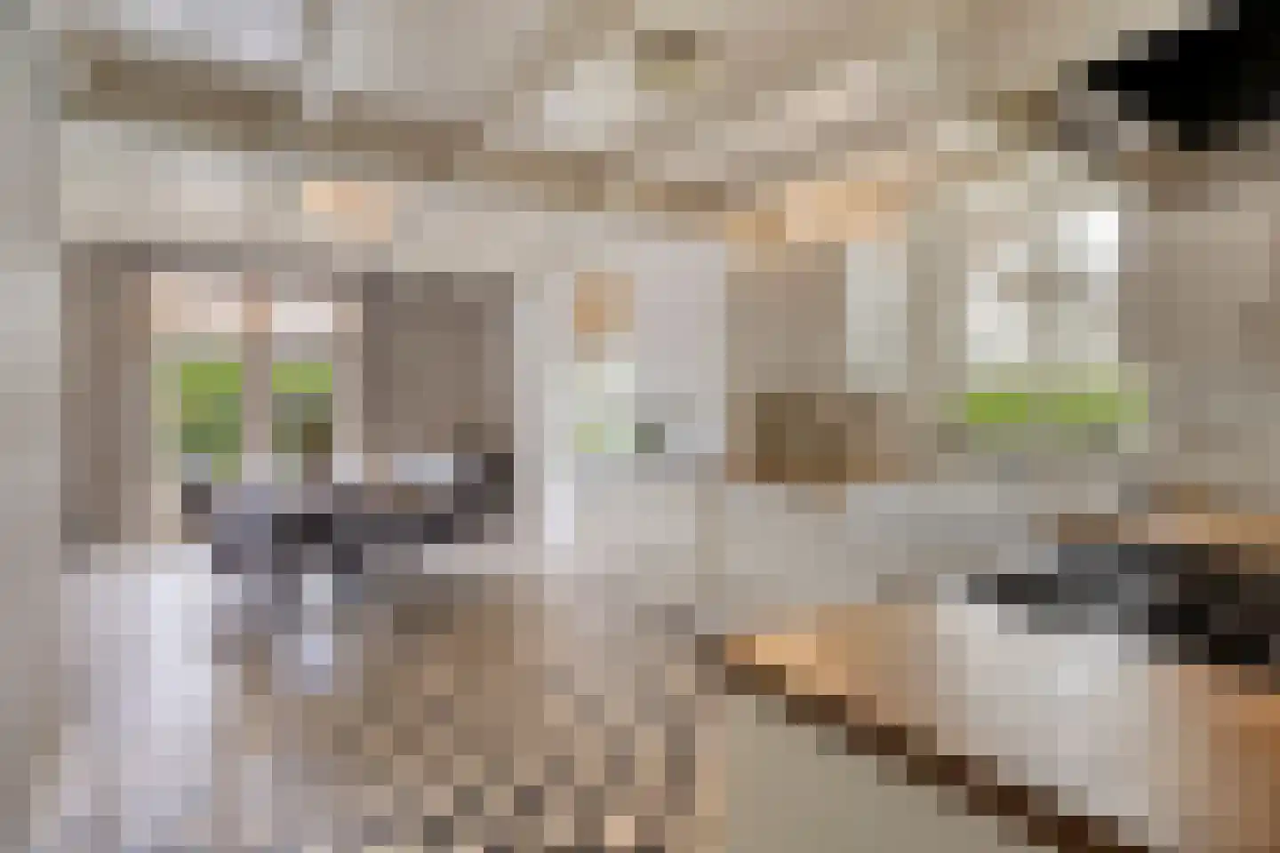 Eusselingstraat 1 Macharen thumbnail 6