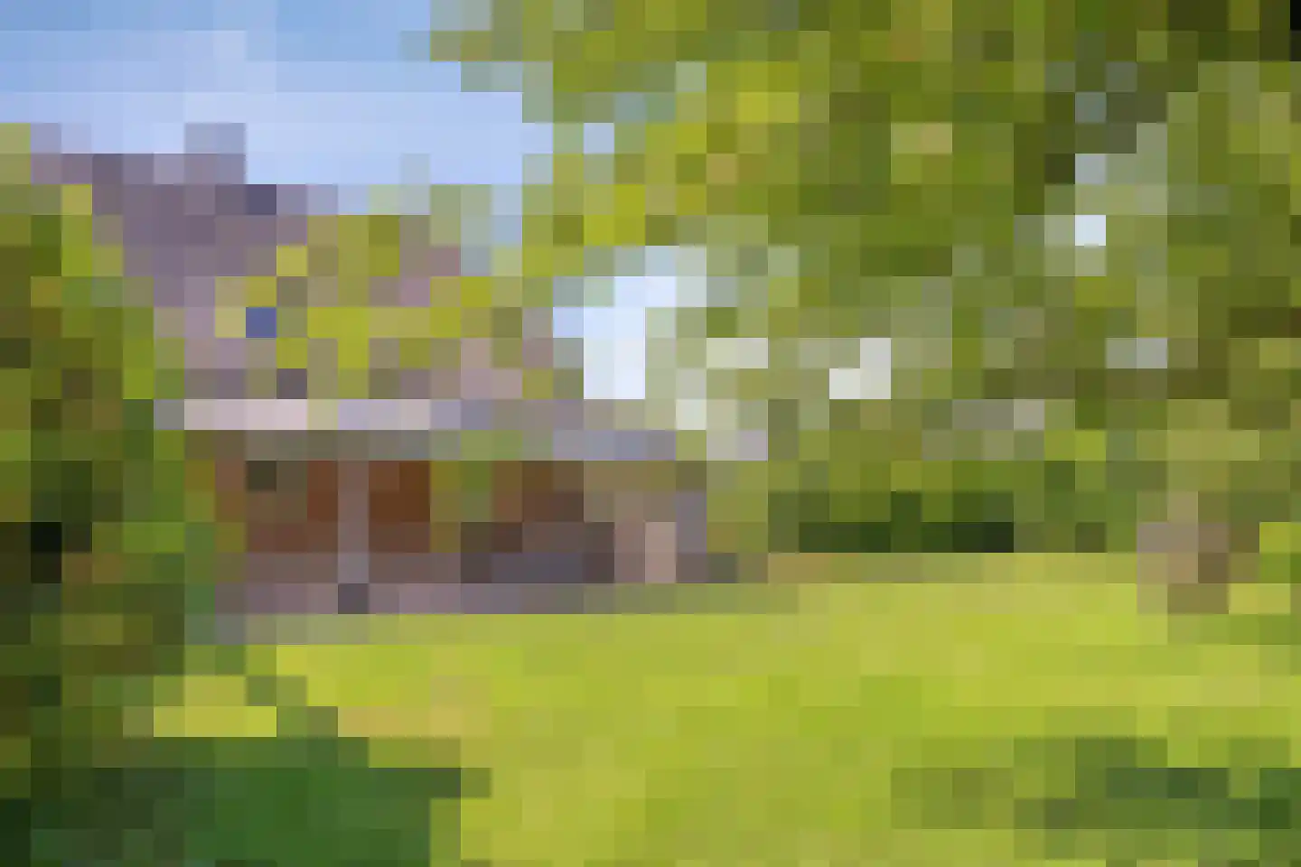 Eusselingstraat 1 Macharen thumbnail 61