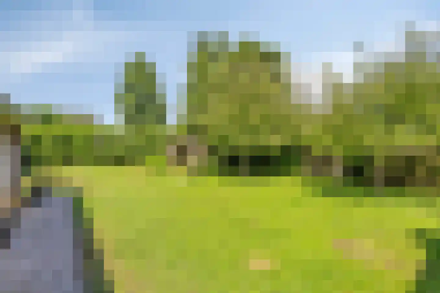 Eusselingstraat 1 Macharen thumbnail 63