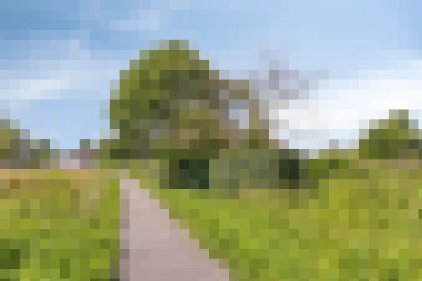 Eusselingstraat 1 Macharen thumbnail 67