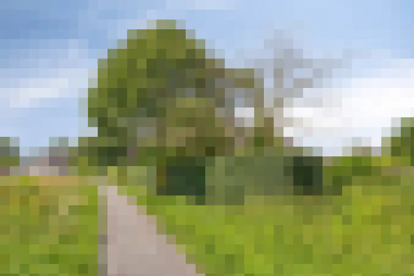 Eusselingstraat 1 Macharen thumbnail 68