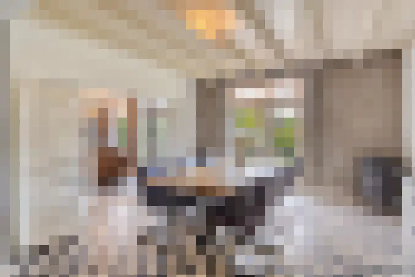 Eusselingstraat 1 Macharen thumbnail 7