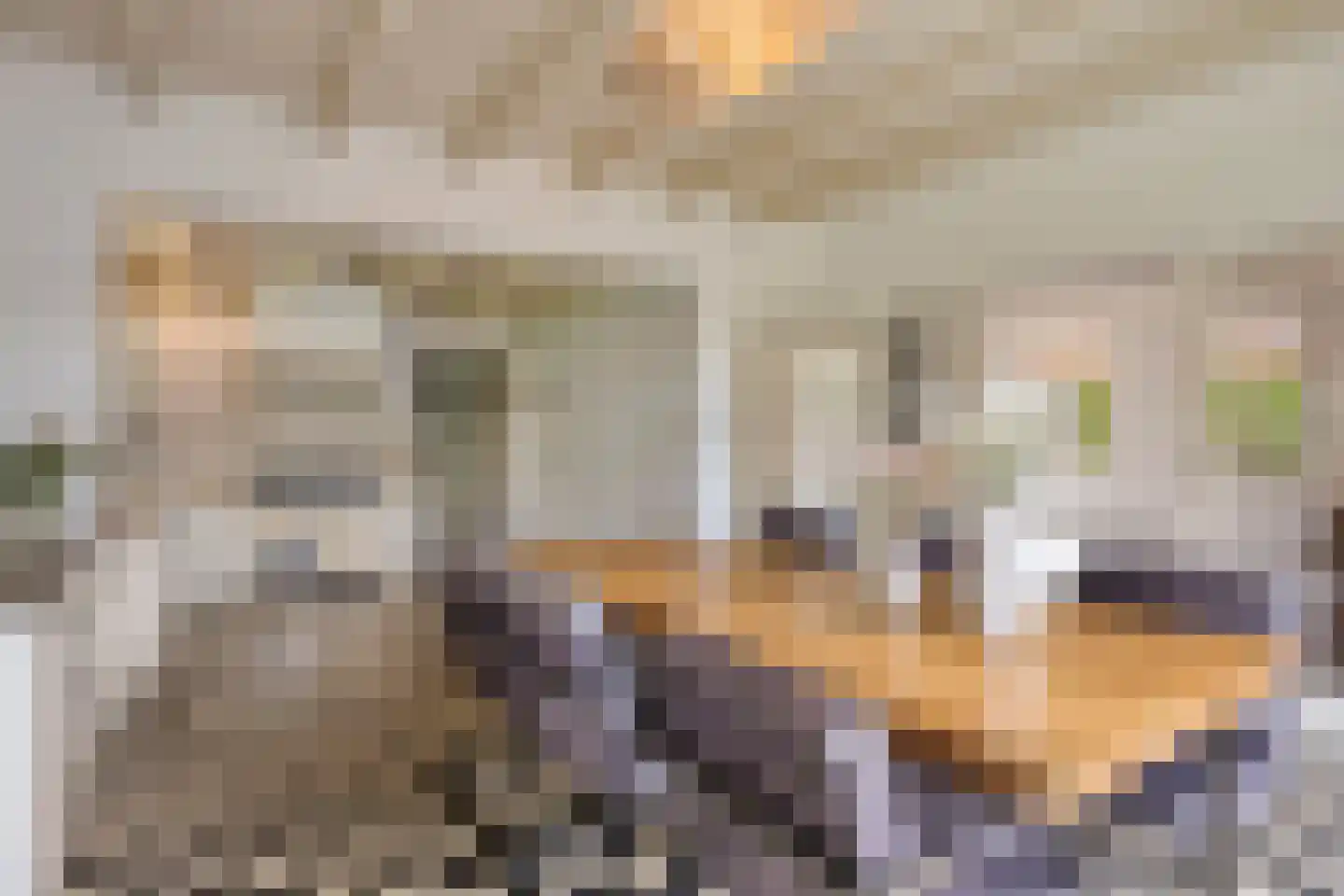 Eusselingstraat 1 Macharen thumbnail 8