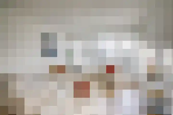 Euterpedreef 62 Utrecht thumbnail 11