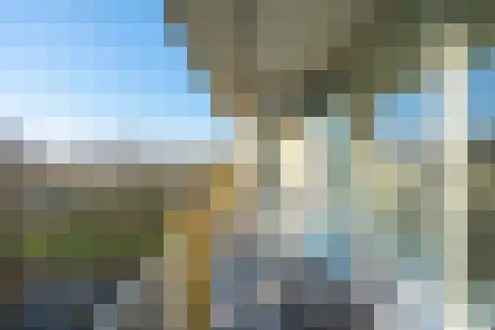 Euterpedreef 62 Utrecht thumbnail 12