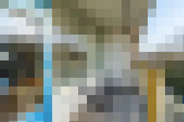 Euterpedreef 62 Utrecht thumbnail 13