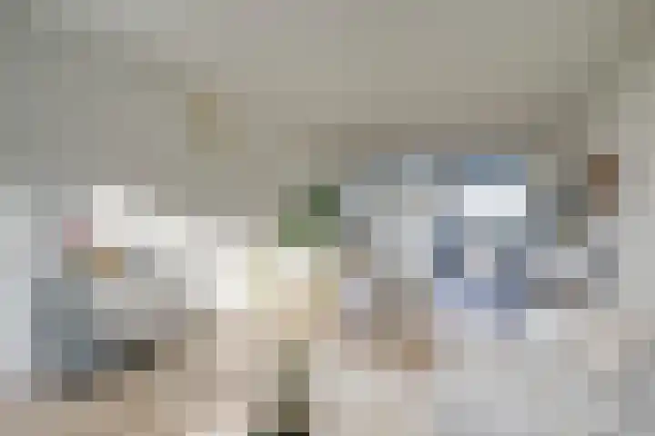 Euterpedreef 62 Utrecht thumbnail 14
