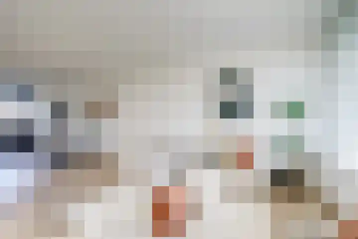 Euterpedreef 62 Utrecht thumbnail 15