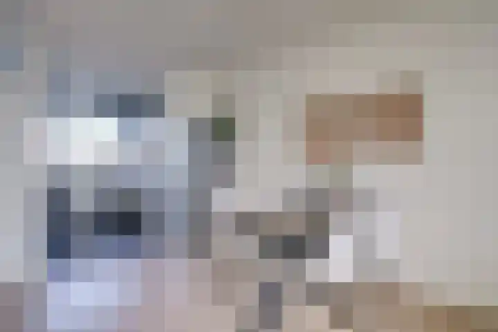 Euterpedreef 62 Utrecht thumbnail 16