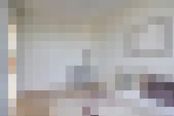 Euterpedreef 62 Utrecht thumbnail 19