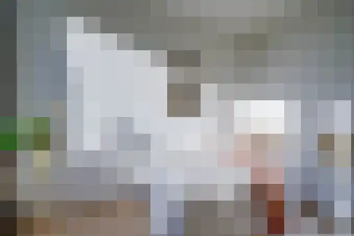 Euterpedreef 62 Utrecht thumbnail 21