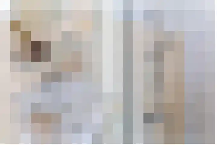 Euterpedreef 62 Utrecht thumbnail 23
