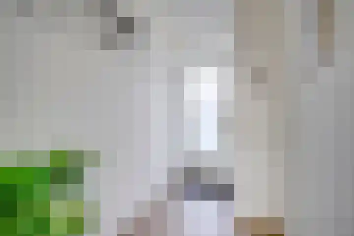 Euterpedreef 62 Utrecht thumbnail 8