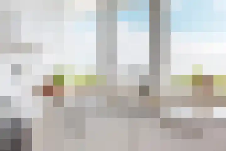 Euterpedreef 68 Utrecht thumbnail 10