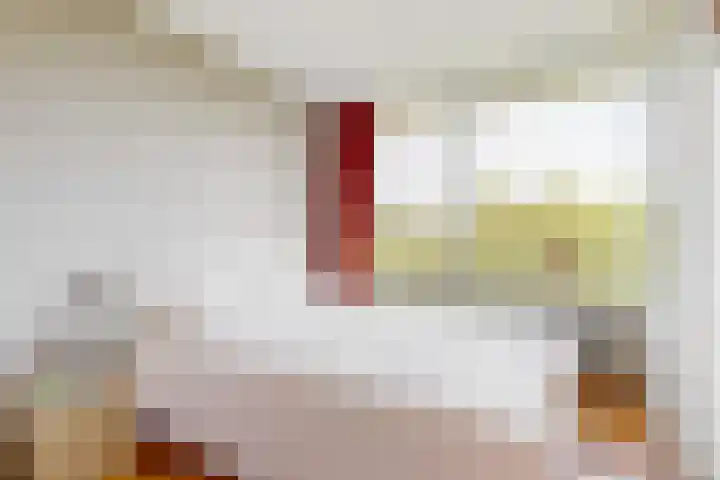 Euterpedreef 68 Utrecht thumbnail 17