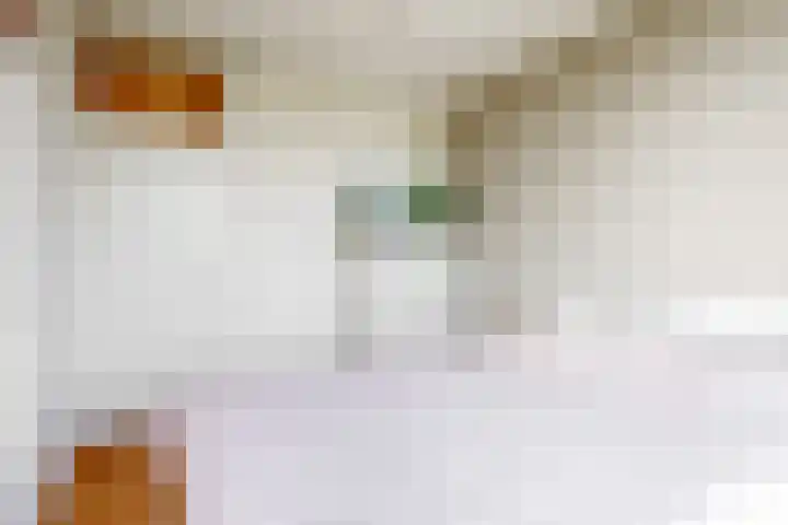 Euterpedreef 68 Utrecht thumbnail 18