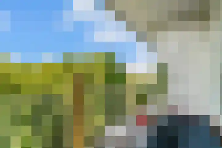 Euterpedreef 68 Utrecht thumbnail 20