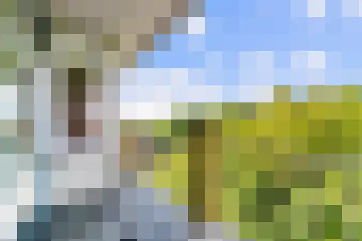Euterpedreef 68 Utrecht thumbnail 21