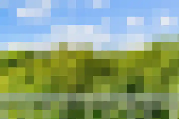 Euterpedreef 68 Utrecht thumbnail 22