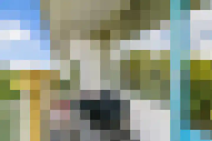 Euterpedreef 68 Utrecht thumbnail 23